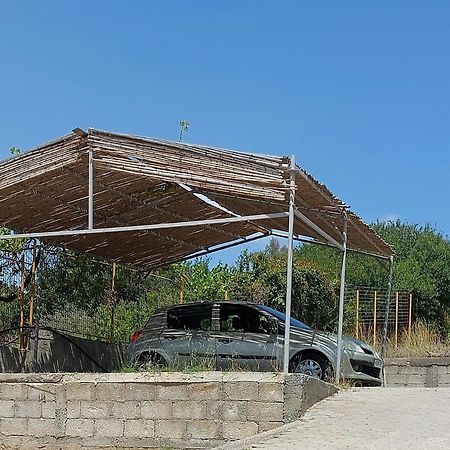 Villa Melenia For Family Holidays By The Beach Agia Pelagia Eksteriør billede